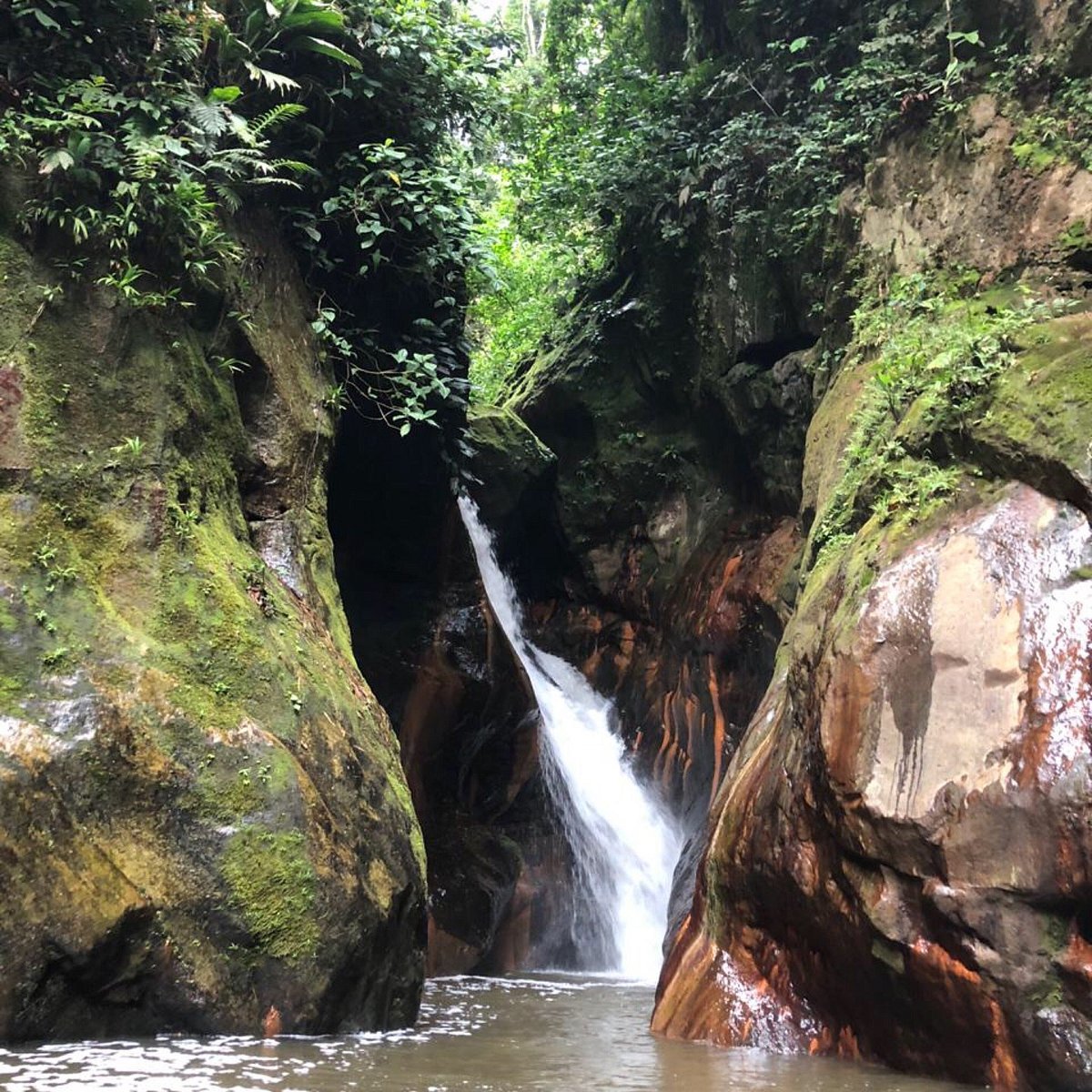 Tour Pishurayacu hover